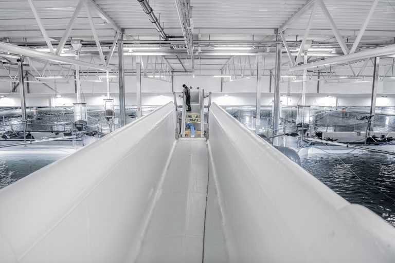 AKVA group signerte kontrakt for 351,9 millioner med Cermaq
