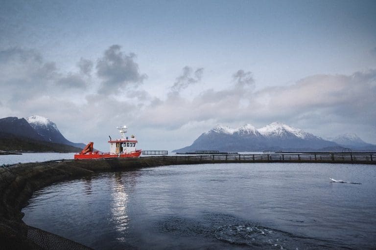 Cermaq kjøpte vekst for 45,5 millioner kroner i Vest-Finnmark