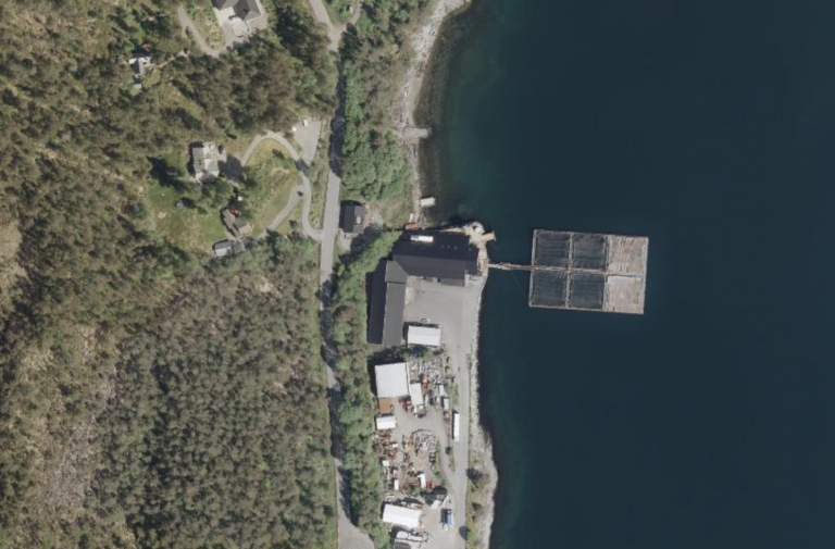 Mot nedleggelse av Hardanger Fiskeforedling: Fire selskap planlegger nytt lakseslakteri på Bømlo
