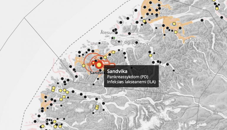 ILA påvist ved Mowi-anlegg