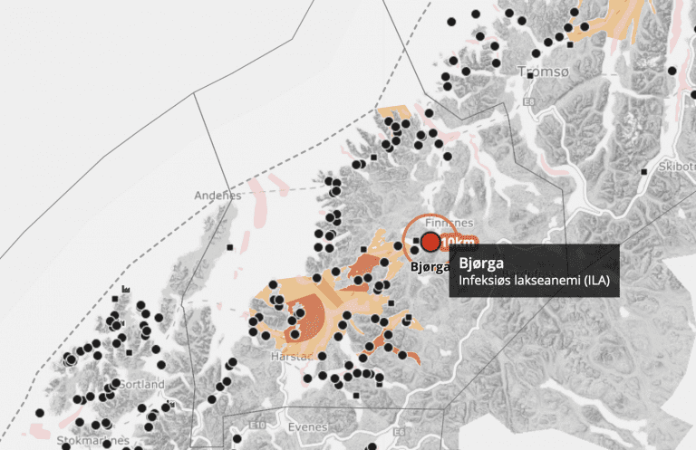 Mistanke om ILA i Salaks-anlegg