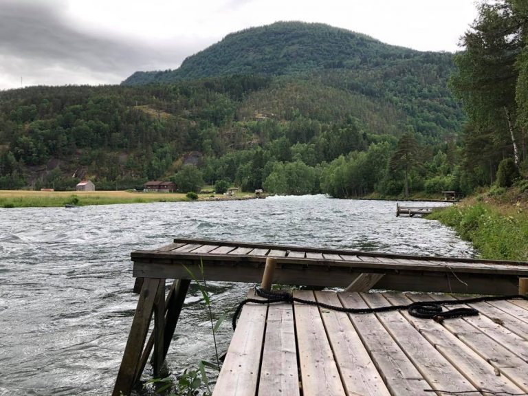 Derfor hentet Mowi villaksgener fra Årøyelva