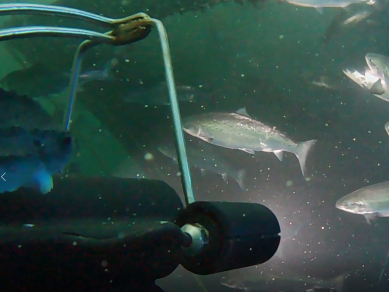 Denne skal måle biomasse, velferd og lus i Andfjord Salmons landbaserte lakseanlegg