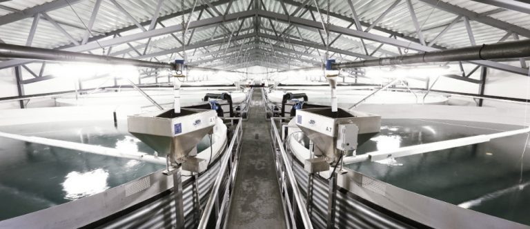 Sisomar vil investere 800 millioner kroner, men trenger mer vann