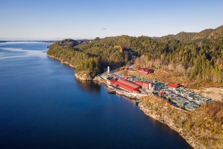 Smoltprodusent økte driftsmarginen med over ti prosent