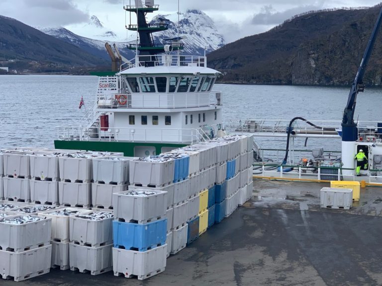 Driftsresultatet til Sørrollnesfisk stupte med nesten 90 prosent