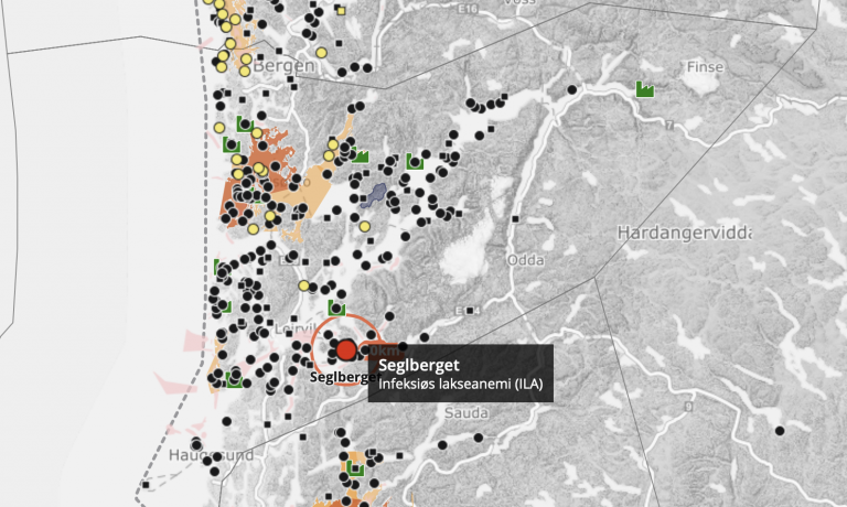 Mattilsynet bekrefter ILA i Alsaker Fjordbruk-anlegg