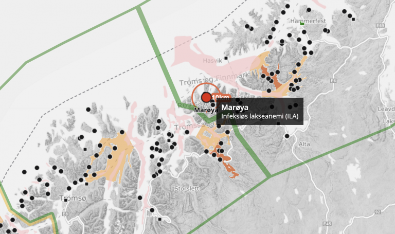 Mulig ILA-smitte i anlegg i Finnmark