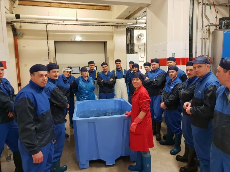 Fiskehelse-trio lanserer Akvademiet: – Vi tror vi når ut til flere på denne måten