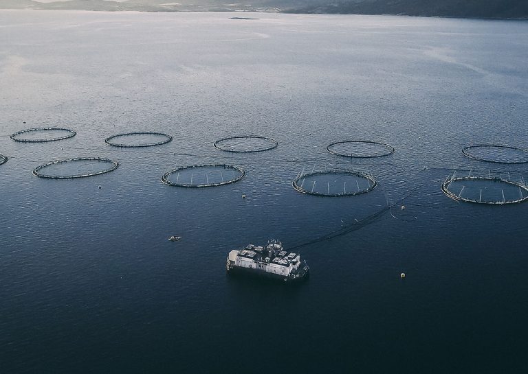 Prisraset fortsetter – ned 20 kroner på to uker