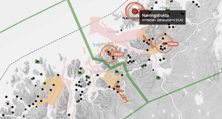 Laksevirus i to oppdrettsanlegg i Finnmark