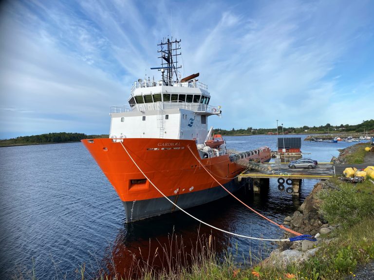 Fra offshore til lakseoppdrett: &laquo;Smøla Viking&raquo; skal fjerne opp mot 100 prosent av lusa