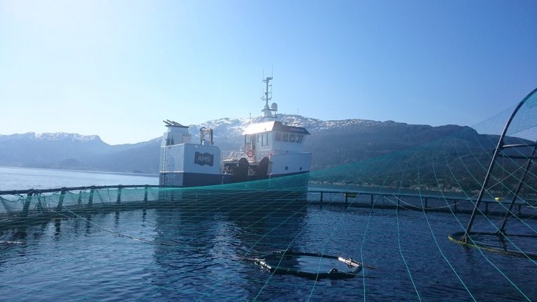 I fjor var servicebåtrederiet på Gaselle-listen. Nå er selskapet konkurs