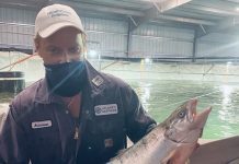 Hvorfor vokser laks bra innendørs – helt til den ikke gjør det lenger?