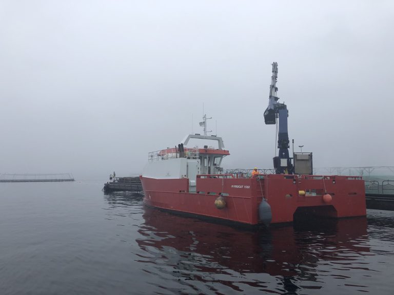 Marø Havbruk har aldri hatt et bedre driftsresultat
