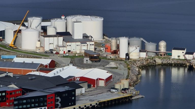 Knallår for Lovund-selskap – tar ut 100 millioner kroner i utbytte