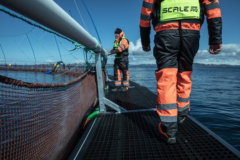 ScaleAQ ansetter to dedikerte ledere for fagområdene bærekraft og biologi