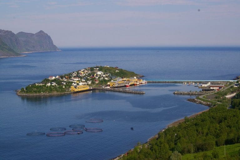 Spanderer bonus og utenlandstur på 240 ansatte