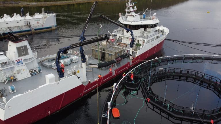 Cermaq har satt ut første smolt i “iFarm”: – Kan bidra til å styrke konkurransekraften til kystnært oppdrett