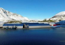 Lofoten Salmon-prosjektet tar tid: – Avventer noen få avklaringer før vi går videre