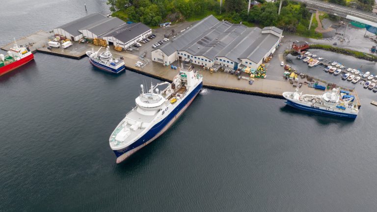 Selstad nærmer seg en halv milliard i omsetning, men fikk svekket driftsresultat i 2019