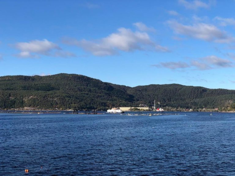 Havyards børsverdi økte med 158 prosent – på en dag