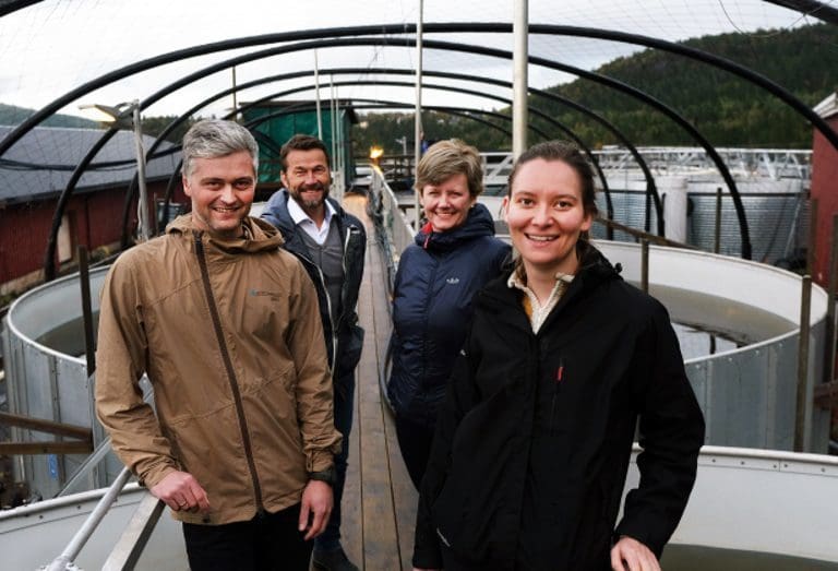 Vil finne ut om det er kommersielt gjennomførbart å produsere grønnsaker med slam fra fiskeoppdrett