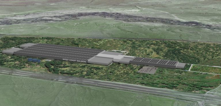 Muri & co. skal produsere 15.000 tonn laks årlig i Nevadaørkenen