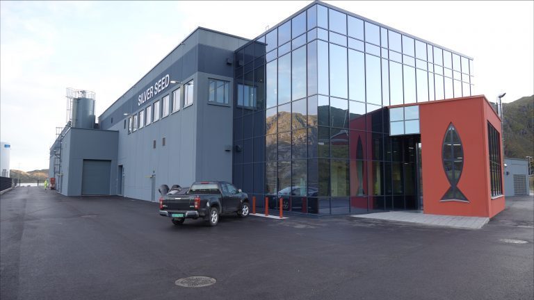 Ellingsen Seafood betaler 150 millioner kroner i utbytte etter skjerpet formuebeskatning