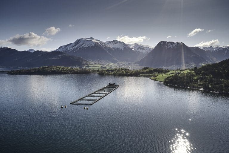 NVE gir Eide Fjordbruk millionbot. Eide vurderer å rette krav mot leverandør.