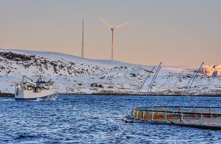Ny årsverste for lakseprisen: – Julesalget er avlyst