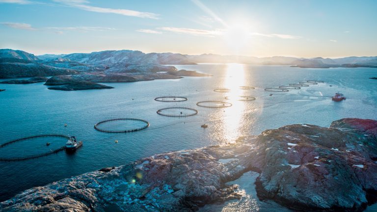 Næringens egne sørget for omdømmebygging i fotokonkurranse