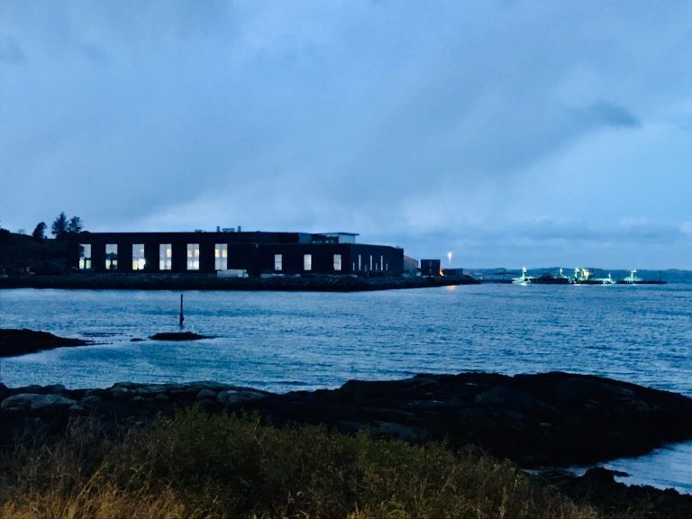 – Kundene er ikke voldsomt villige til å ta på seg ekstra fisk