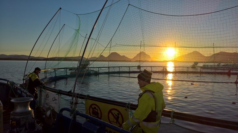 Nekton om Havbruksutvalgets forslag: – Et skritt i helt motsatt retning av hvor vi skal
