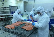 – Chile tar større bit av kaken