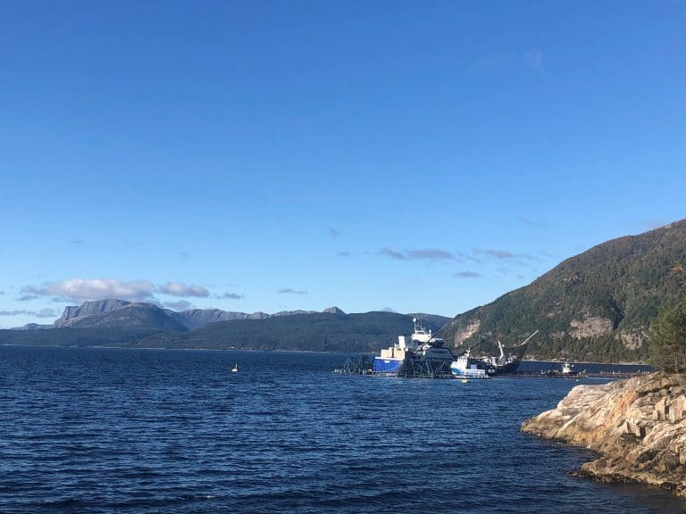 Folketrygdfondet flagger i Mowi
