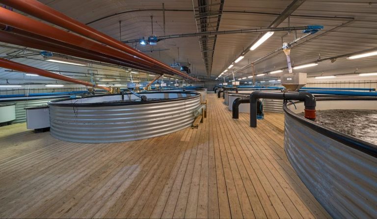 Indisk investor sikrer videre drift for Blåfjell