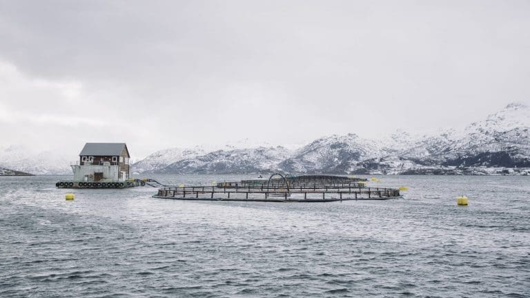 – Produksjon og foredling av fisk er vekstnæringer som vi skal ha med oss inn i lavutslippssamfunnet