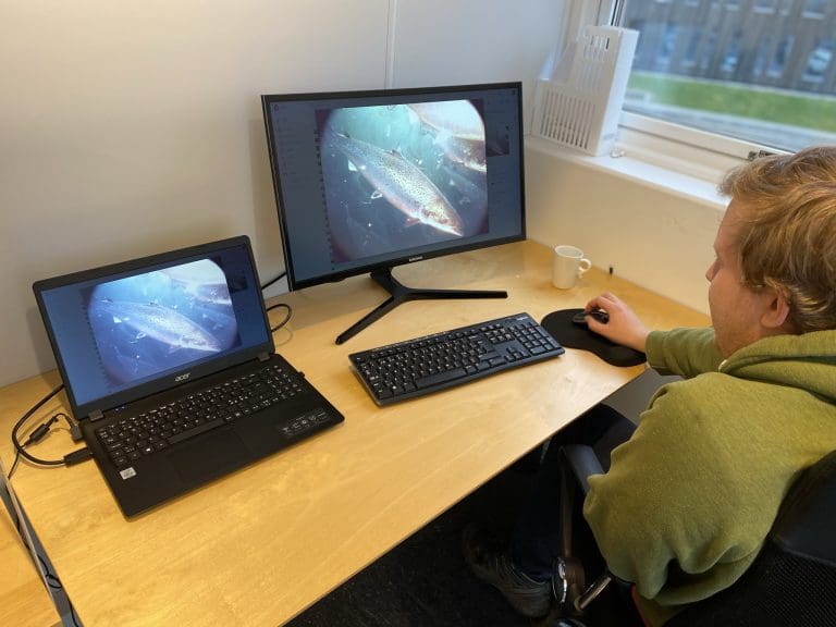 I denne bedriften har alle ansatte Aspergers syndrom. Slik hjelper de oppdrettsnæringen med lakselusproblemet