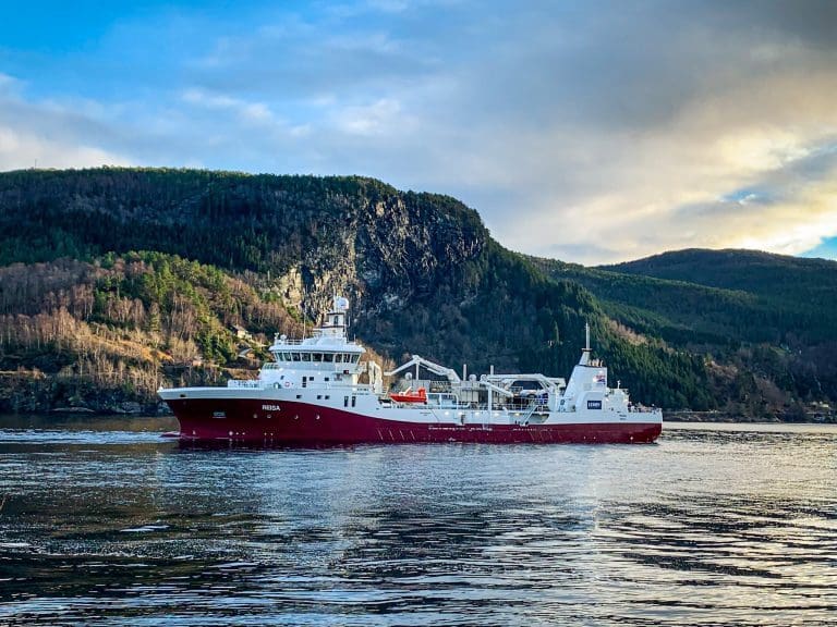 Flåtevekst styrket inntjeningen til NTS