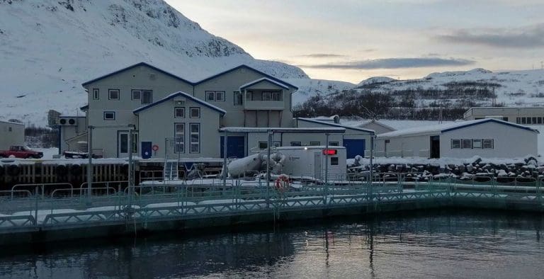 Gir ansatte gavekort i stedet for julebord