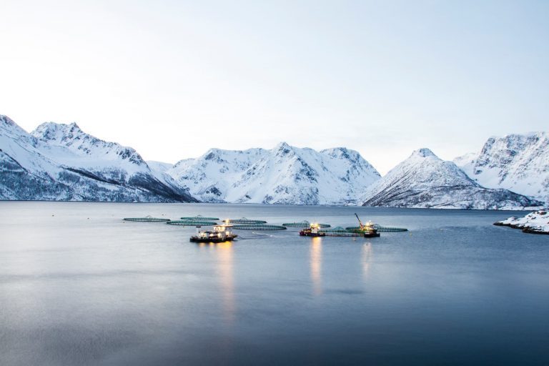 DNB Markets venter ny kostnadsmell for Grieg Seafood