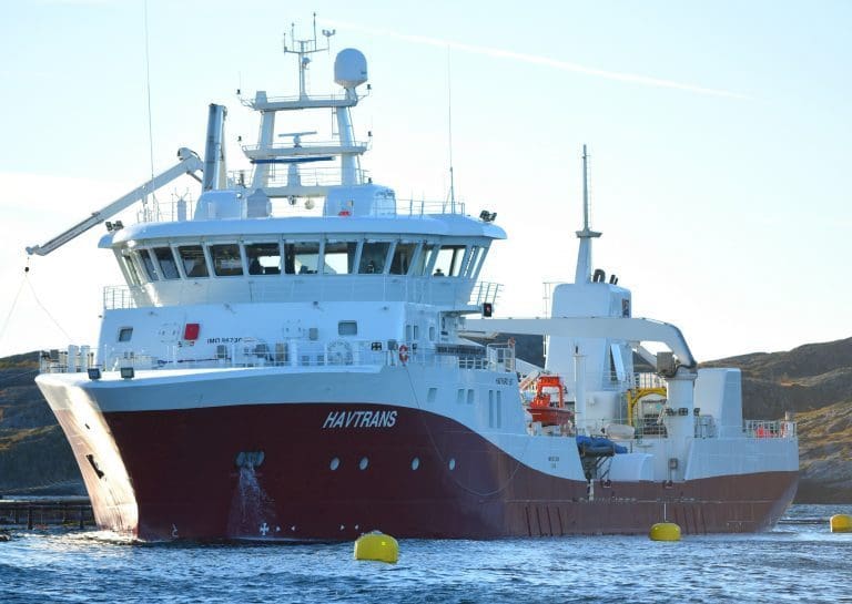 Derfor vil Helge Gåsø og Frøy-gruppen ikke ekspandere til Chile