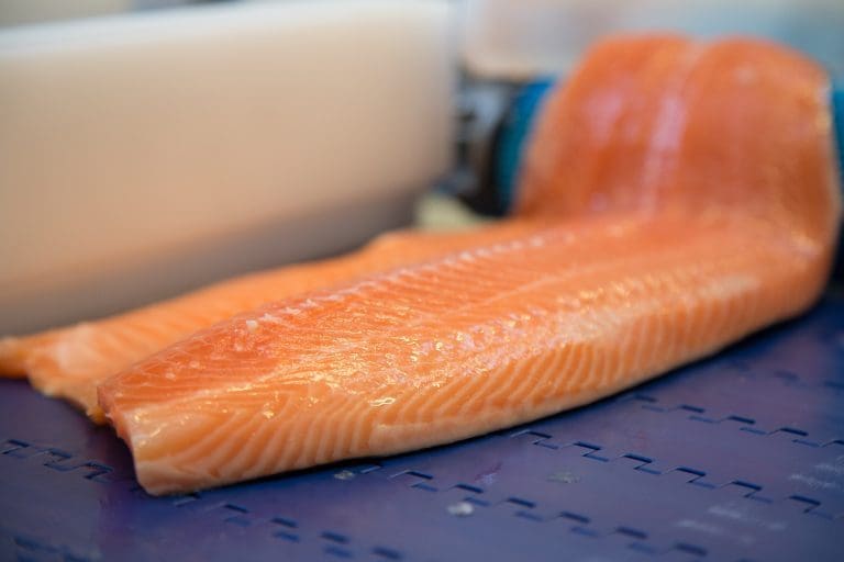 Fileteksporten tar av i et marked som flyter over av “prodfisk”