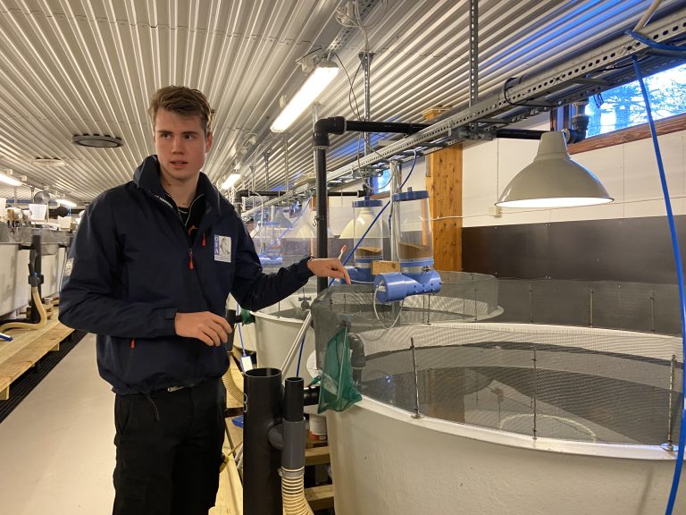 Med dette enkle grepet reduserte de predasjonsfaren etter fiskeutsett