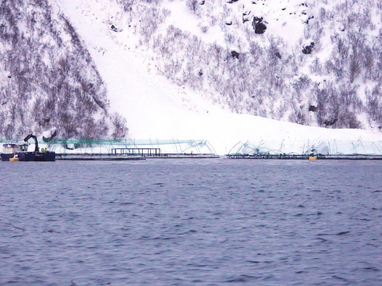 Laksetap etter skred: – Meget sjeldent