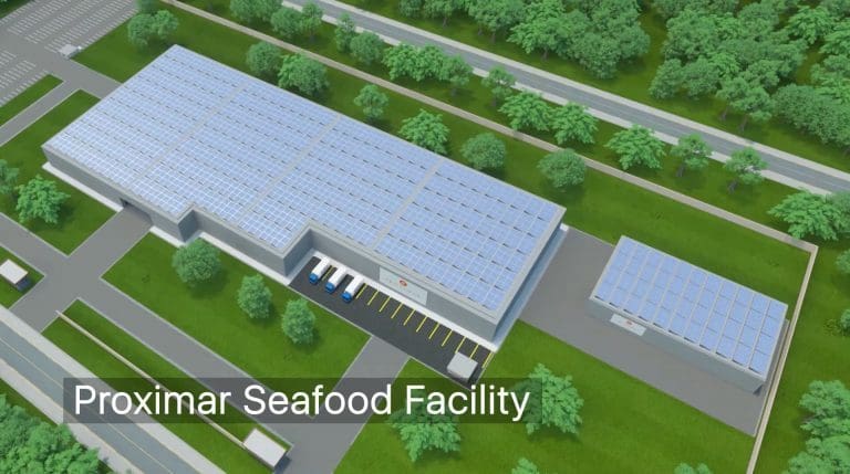 Proximar Seafood sikter på å slakte sin første laks i Japan om tre og et halvt år