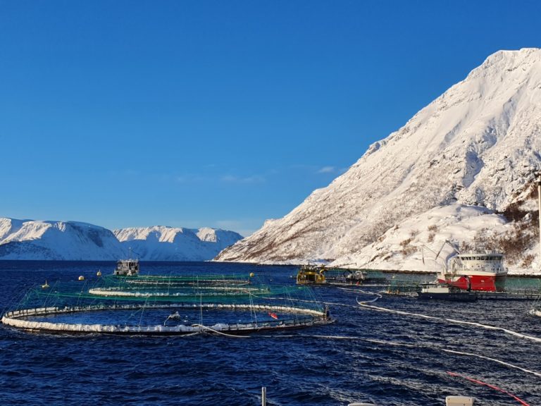 Disse forholdsreglene tar Grieg Seafood før de flytter skredrammet lokalitet
