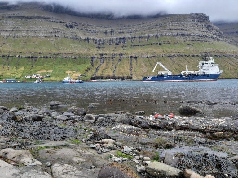 Her strekkes en 5,6 kilometer lang strømkabel ut til en fôrflåte: – Reduserer utslippene våre betydelig