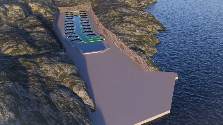 Det nærmer seg for Losna Seafood: – Vi er snart der at vi henter den kapitalen vi trenger